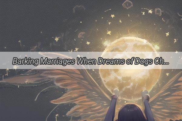 Barking Marriages When Dreams of Dogs Chasing BridestoBe Unleash Surprising Messages